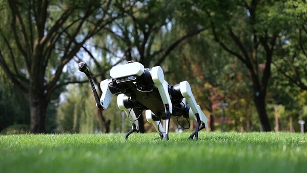 ǿǿ���ϣ���֥�����������������ʵ���Ҵ��ս�Ժ��������ƾ����������